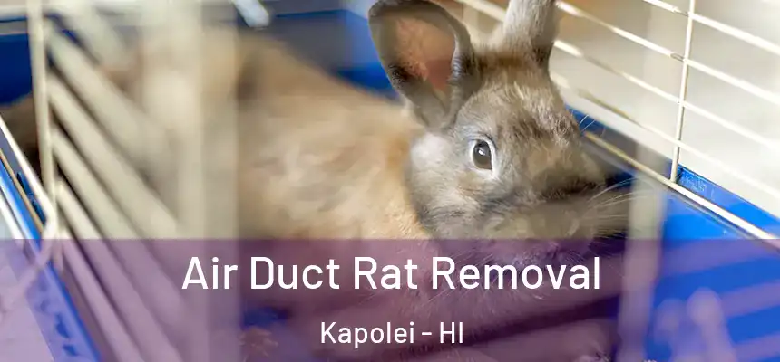  Air Duct Rat Removal Kapolei - HI