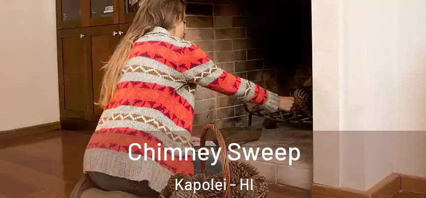  Chimney Sweep Kapolei - HI