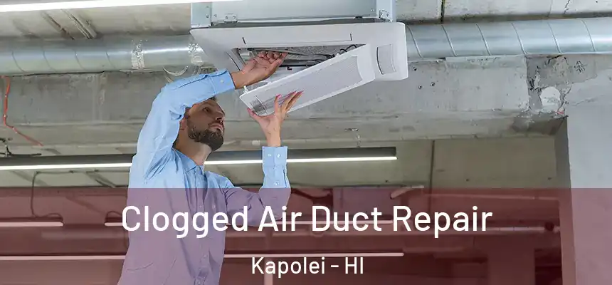  Clogged Air Duct Repair Kapolei - HI