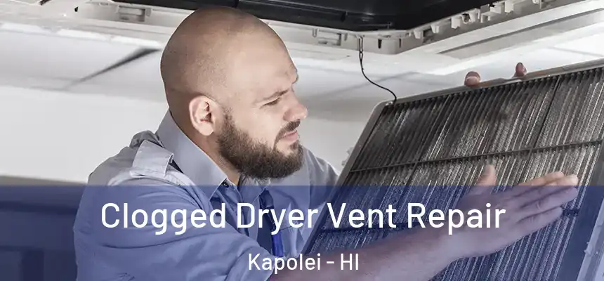  Clogged Dryer Vent Repair Kapolei - HI