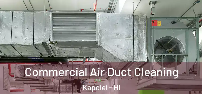  Commercial Air Duct Cleaning Kapolei - HI