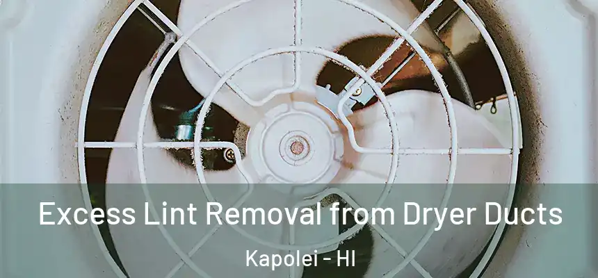  Excess Lint Removal from Dryer Ducts Kapolei - HI