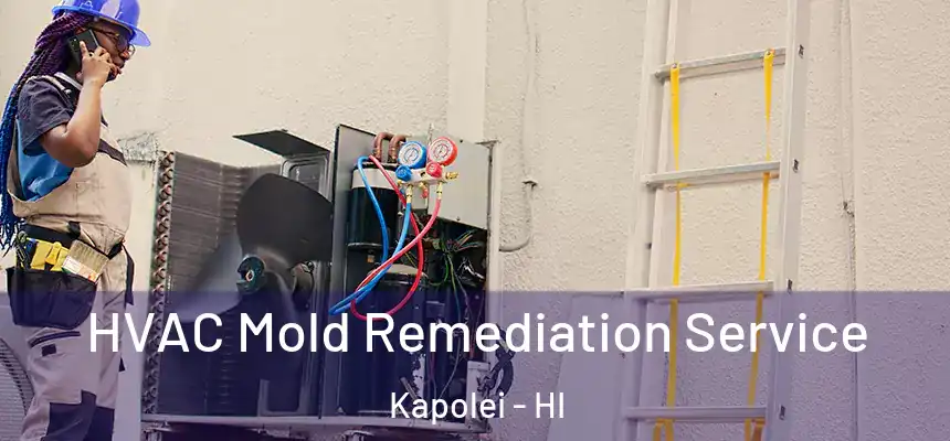  HVAC Mold Remediation Service Kapolei - HI