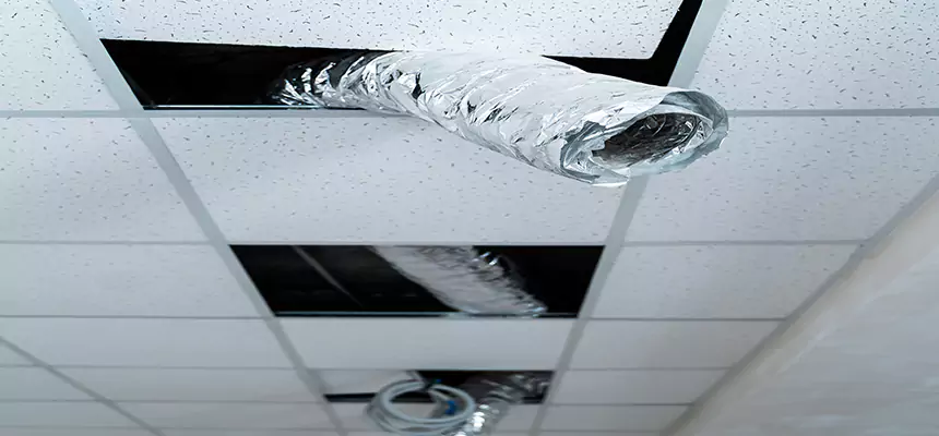 Our Air Duct Pet Hair Removal Services in Kapolei, HI