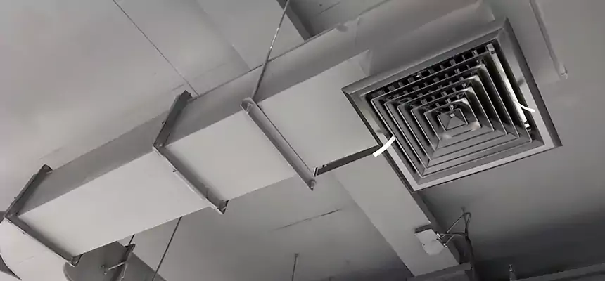 Restorative Allergy Relief Vent Cleaning – Coil, Blower & Housing Detail in Kapolei