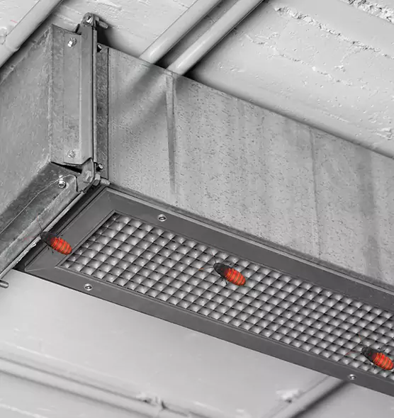 About Air Duct Cockroach Removal in Kapolei, HI
