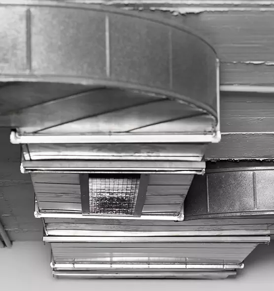 Professional Air Duct Pest Removal in Kapolei, HI