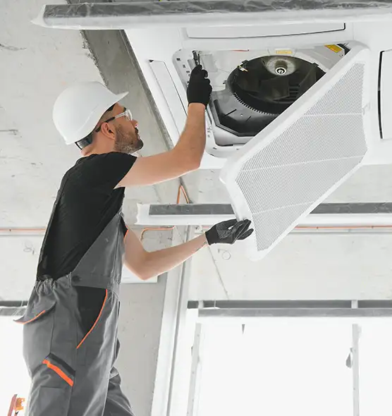 About Air Duct Rodent Removal in Kapolei, HI