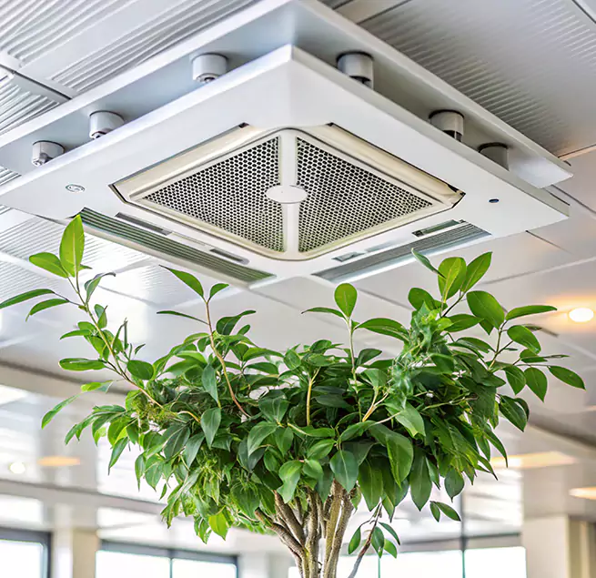 Why Homeowners & Businesses Trust Us in Kapolei, HI?