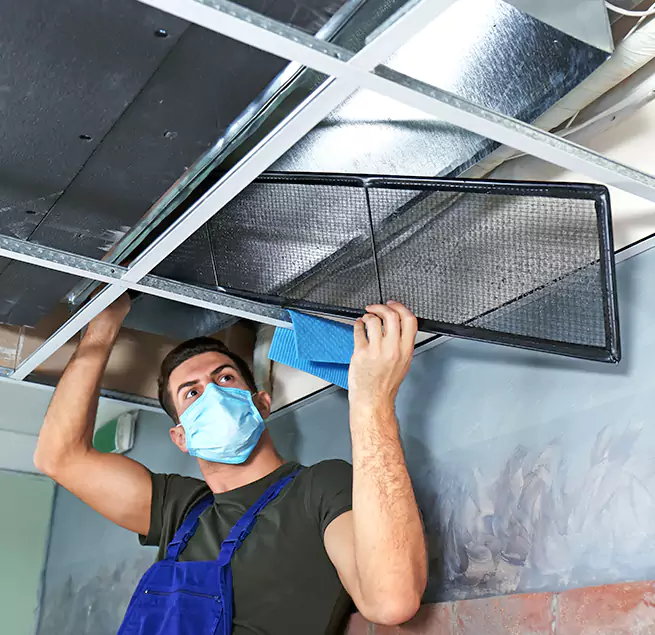 Why Homeowners & Businesses Trust Us in Kapolei, HI?